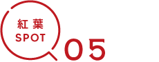 紅葉SPOT05
