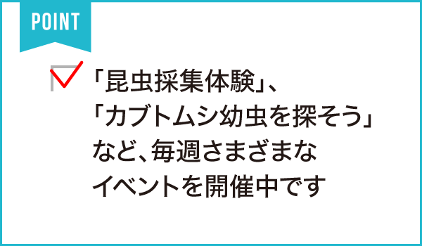 磐田市 竜洋昆虫自然観察公園