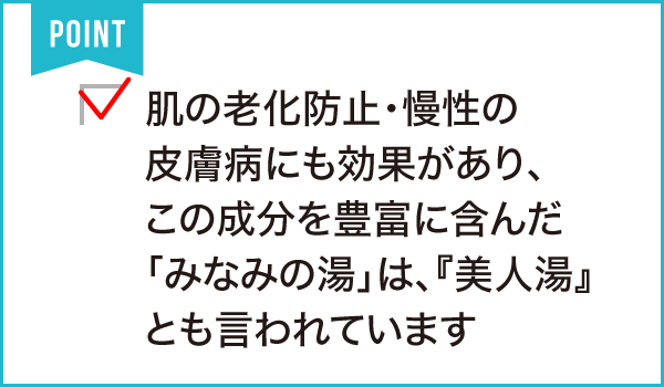 遠州 みなみの湯