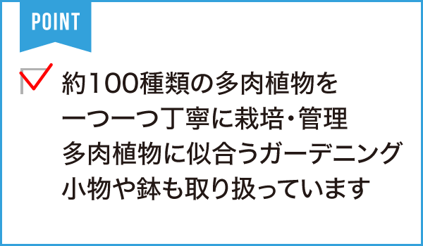 アトリエnana 多肉植物専門店