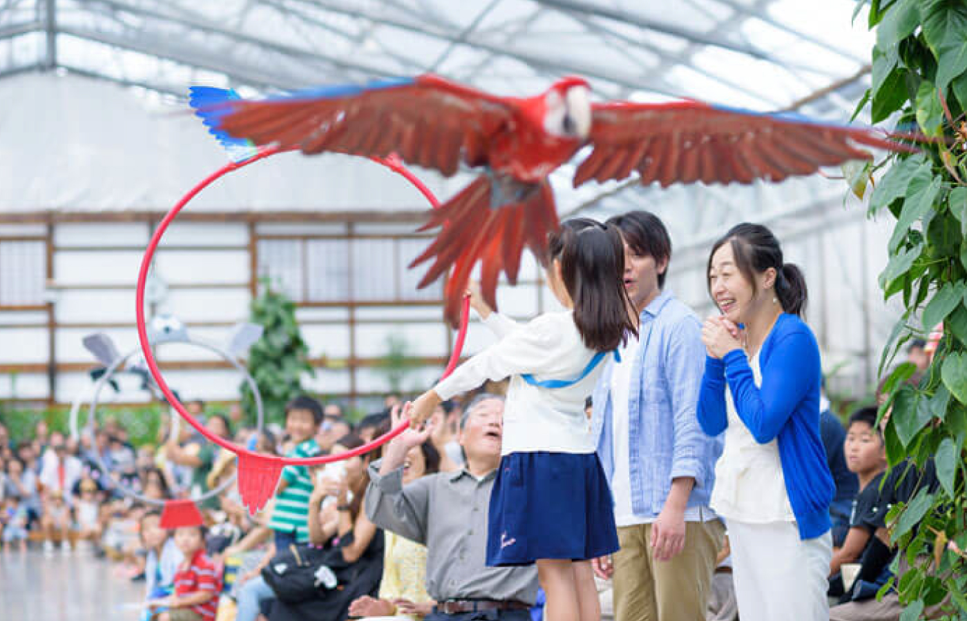 掛川花鳥園