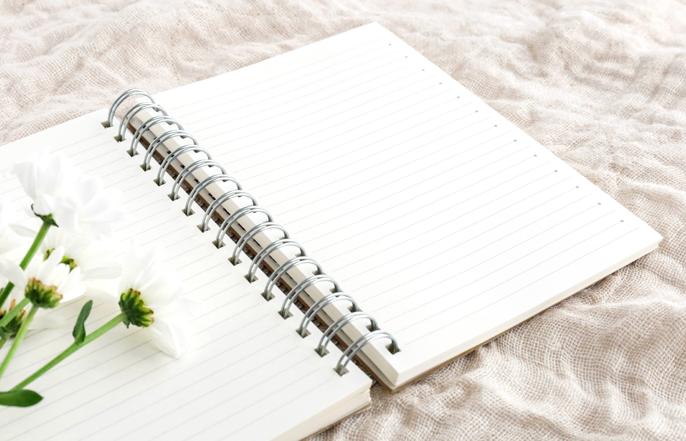 行政書士 おがい法務事務所