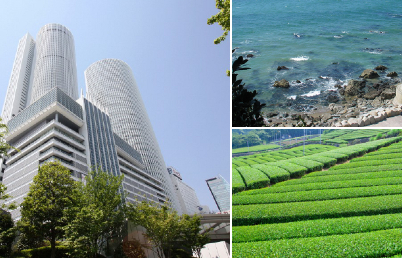 仲谷陽子税理士事務所